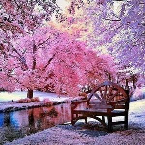 Meet your Posher, Virginia